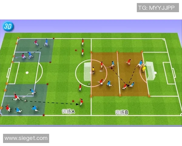 重庆足球队战术解析：聚焦球队风格与战术演变的深度探讨