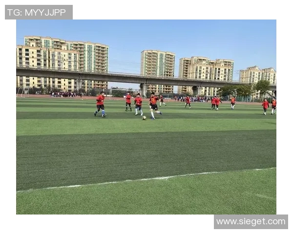 足球明星钢笔推荐让你在书写中感受球场激情与风采