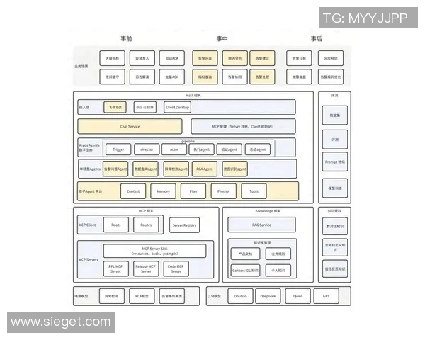 重庆排球队实力分析与发展潜力探讨：数据背后的故事与趋势解析